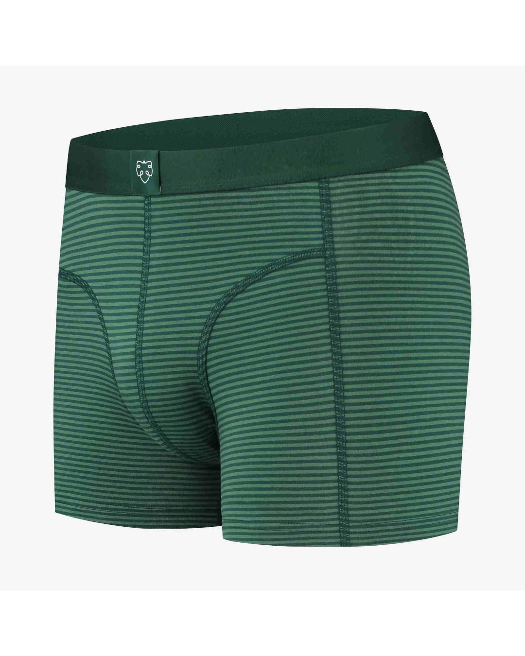 XL