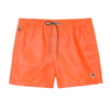 Zebra Orange
