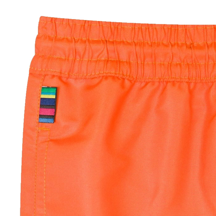 Zebra Orange