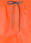 Zebra Orange
