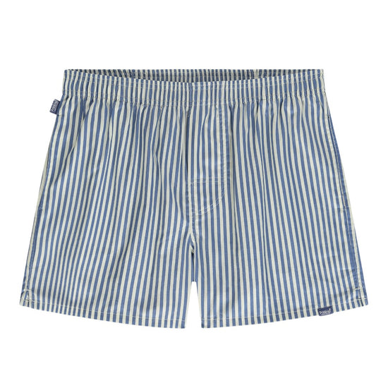 Blue Striped Blust Boxer Shorts