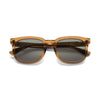 Palmer Sunglasses Transparent