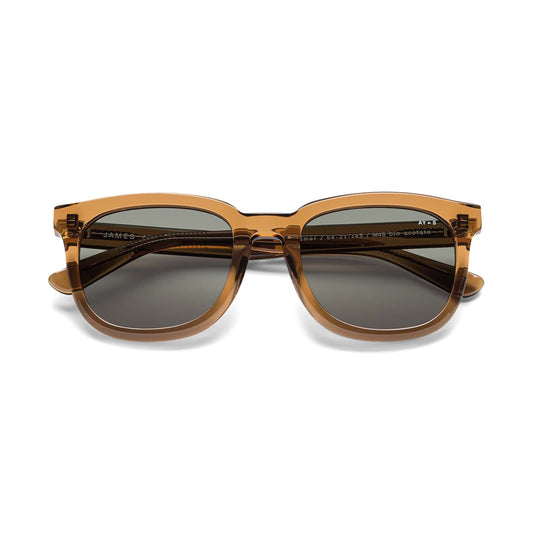 Palmer Sunglasses Transparent