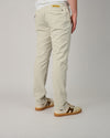 Greybeige Silk Chino Torino Pants