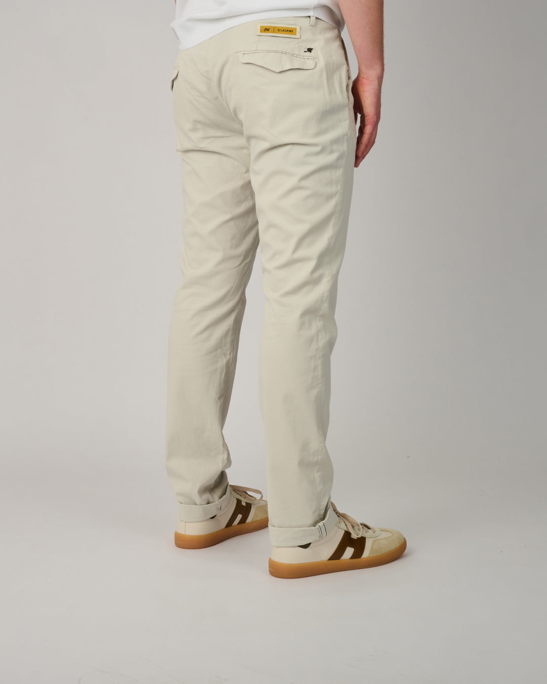 Greybeige Silk Chino Torino Pants