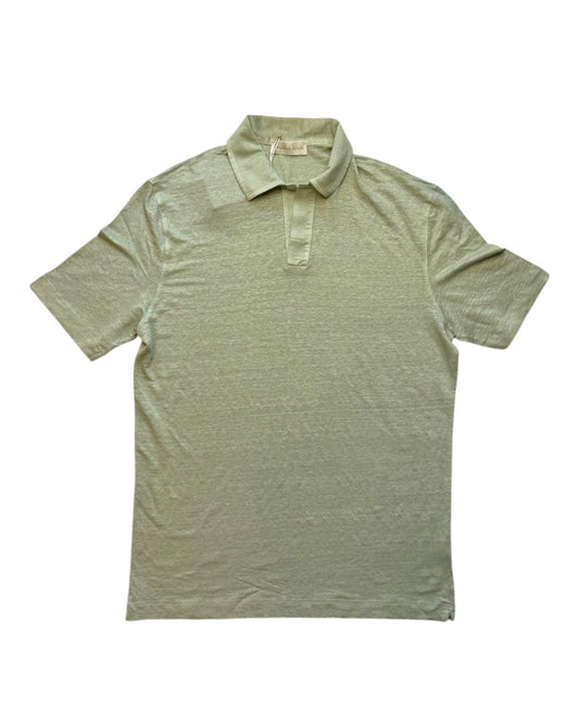 Senecio Skipper Polo