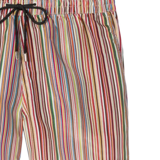 Multicolour Striped Swimshorts