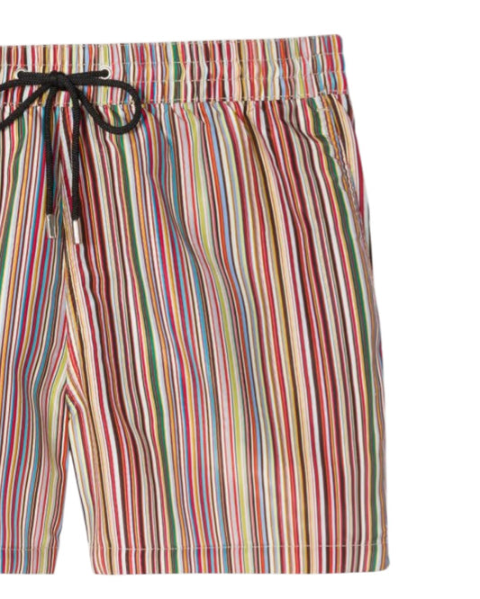 Multicolour Striped Swimshorts