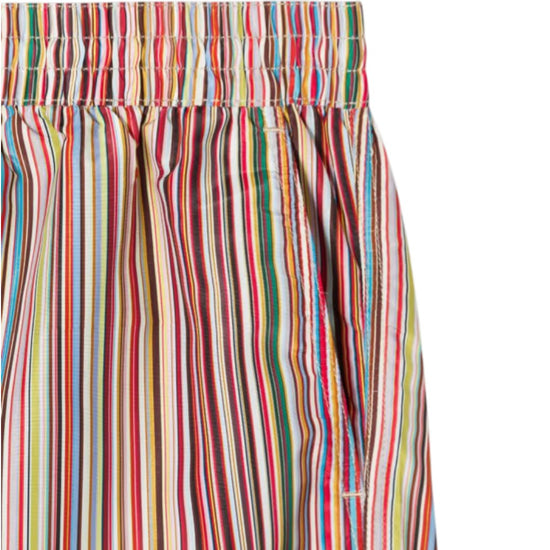Multicolour Striped Swimshorts
