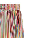 Multicolour Striped Swimshorts