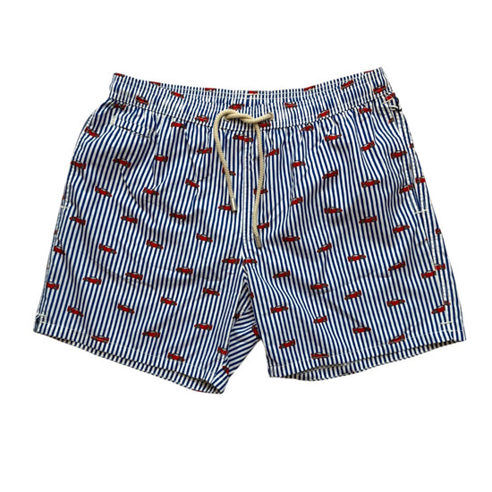 Ultralight Swim Short - Car Stripes