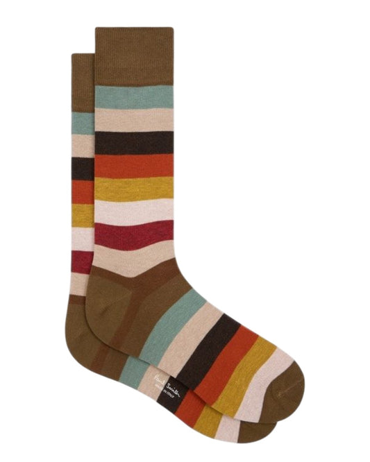 Craft Stripe Socks Multicolour