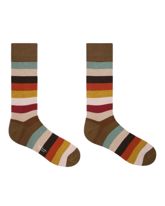 Craft Stripe Socks Multicolour
