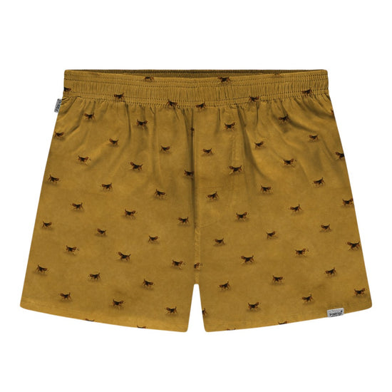 Beagle Boxers Mustard