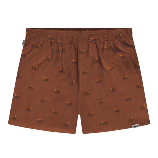 Fox Boxers Brown