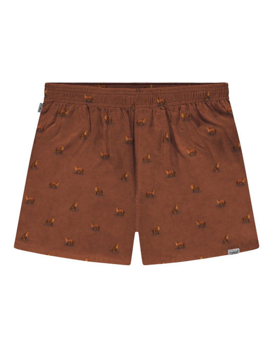 Fox Boxers Brown