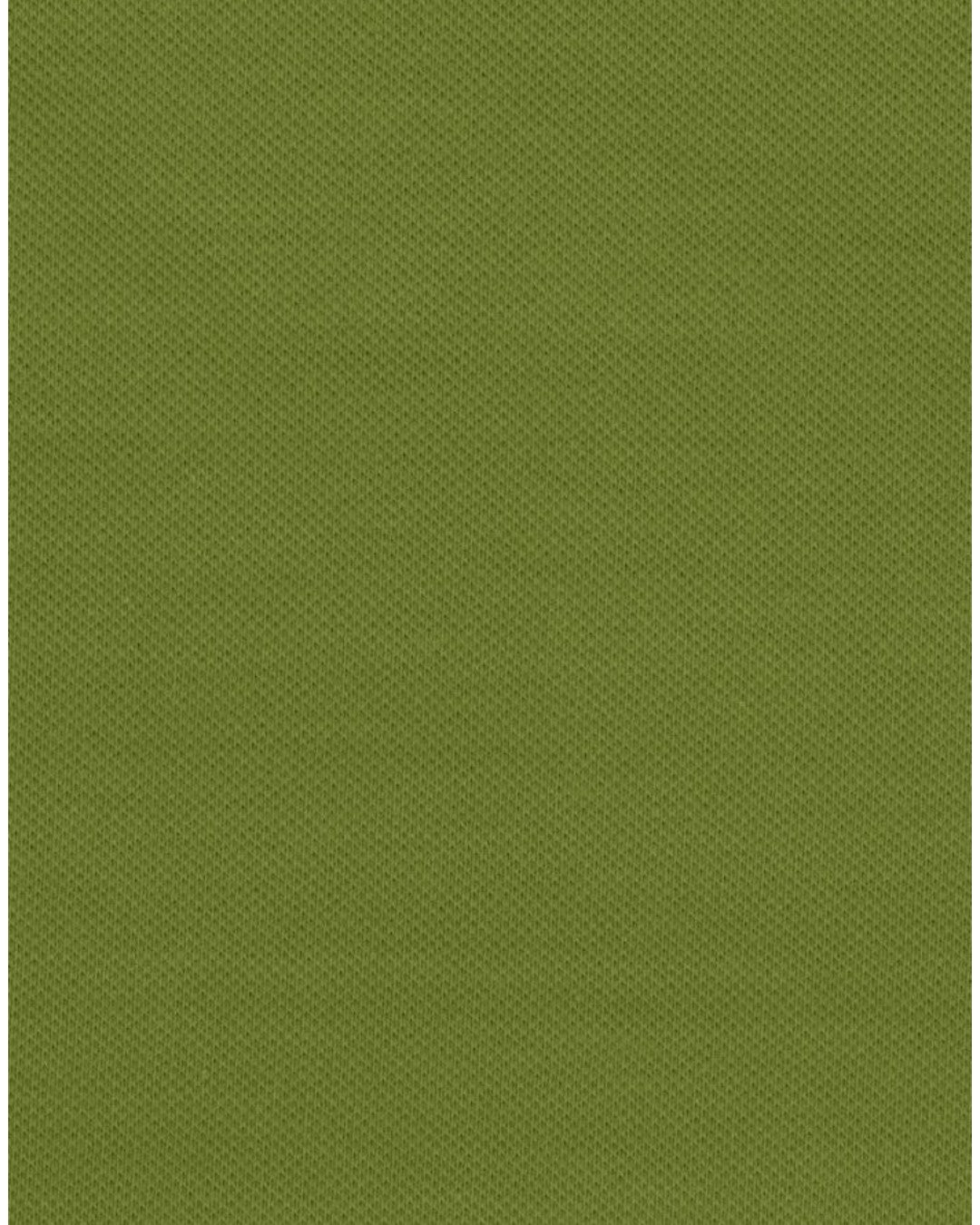 MENS REF Polo shirt Doorknoopt Green