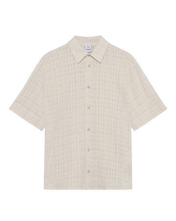Cannoli Cream Daniel Shirt