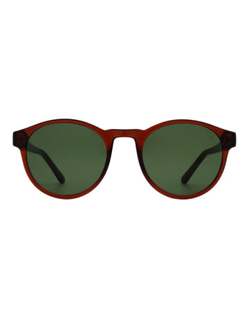 Marvin Sunglasses Brown Transparent