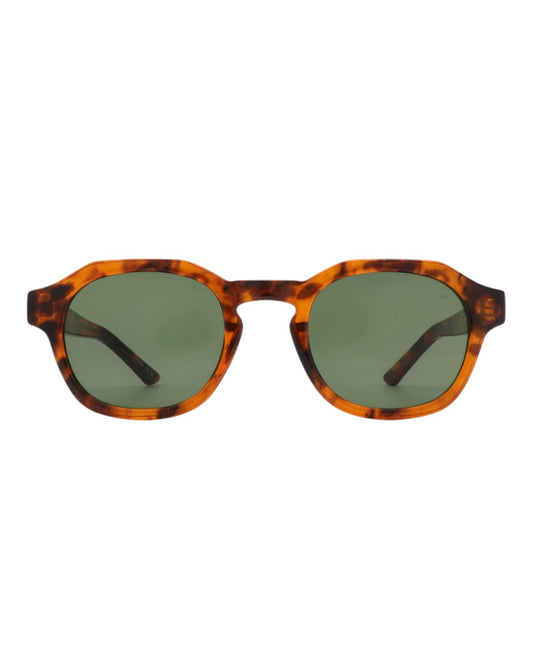 Zan Sunglasses Havana