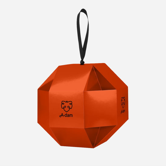 Adam A-DAM Be Marry Socks Christmas Ball Giftbox – productbeeld 4