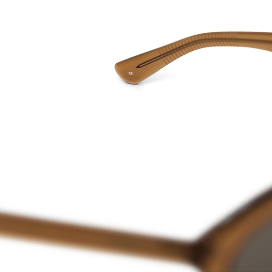 AY Studios Palmer Caramel Brown zonnebril, detailcompositie van de veer en het montuur