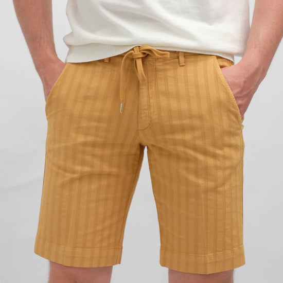 Briglia Mustard Stripes – productbeeld 2