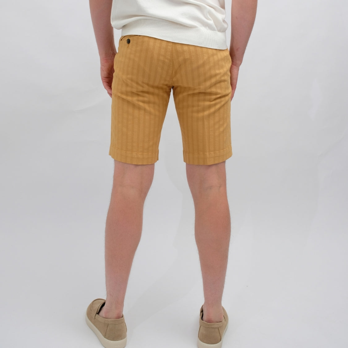 Briglia Mustard Stripes – productbeeld 4