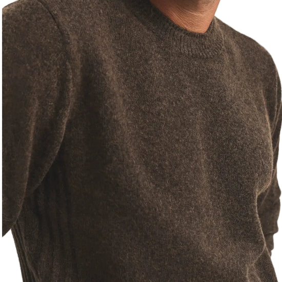 Baby Brown Cesar