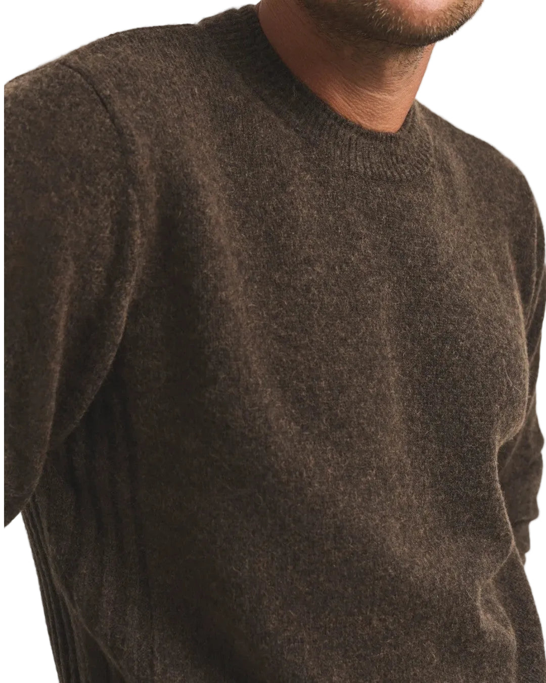 Baby Brown Cesar