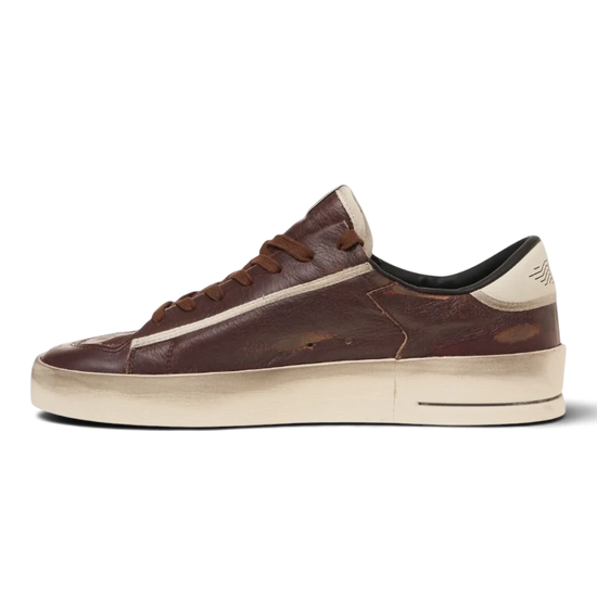 Golden Goose Stardan herensneaker Bordeaux Beige Cream – productfoto 2 – Checkpoint Mol