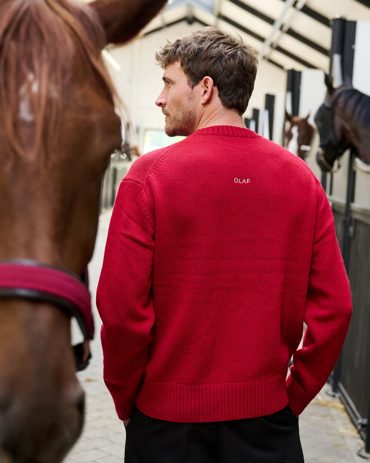 Rode OLAF trui met klein logo op de rug naast een paard in de stallen van Begijnhoeve.