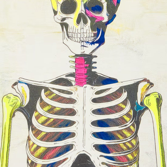 Paul Smith Skeleton Print Organic Cotton T-shirt Black – productbeeld 5