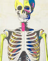 Paul Smith Skeleton Print Organic Cotton T-shirt Black – productbeeld 5