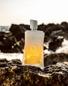 Morph Primitivo Ice Eau de Parfum checkpoint Mol aan zee op rots