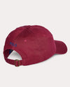 Polo Ralph Lauren Chino Pet Classic Wine – achterzijde met verstelbare sluiting | Checkpoint Mol